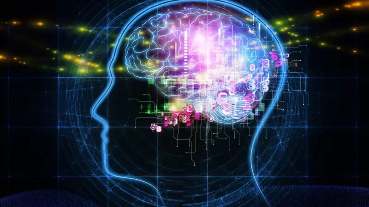 Take This AI IQ Test and See How You Compare